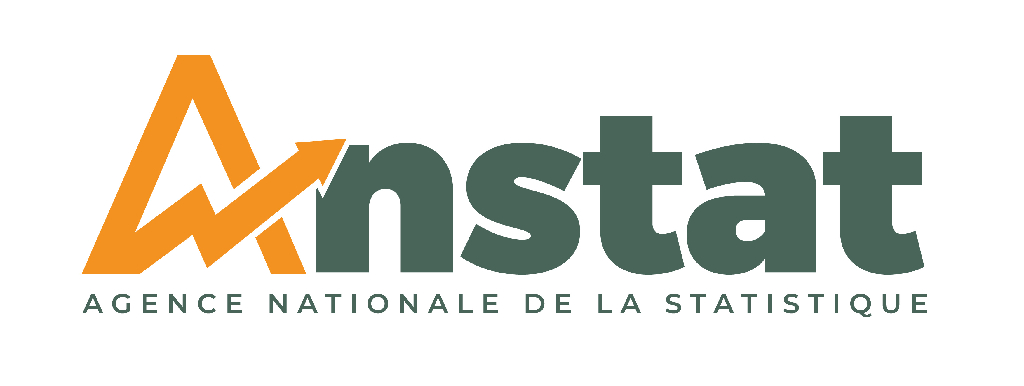 Logo ANStat